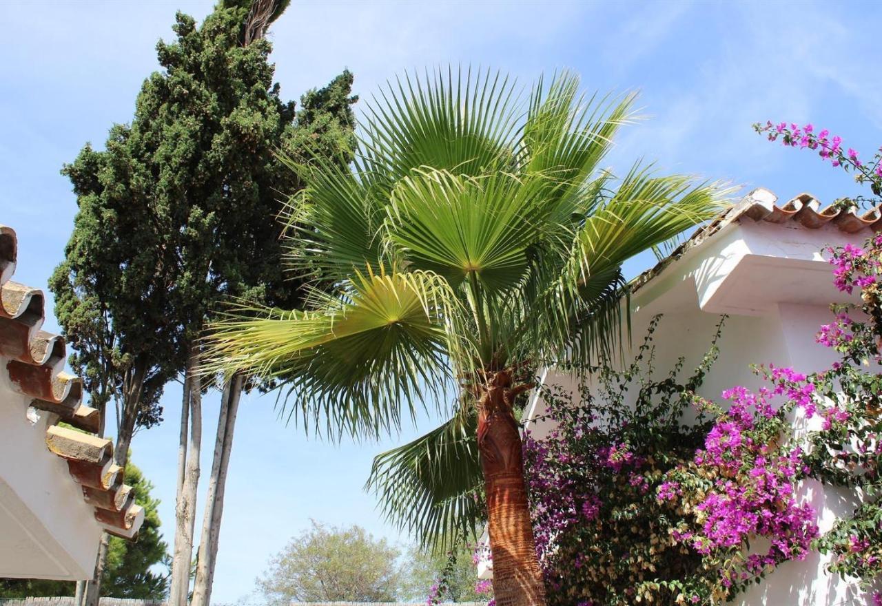 Sitio de Calahonda Casa Green מראה חיצוני תמונה